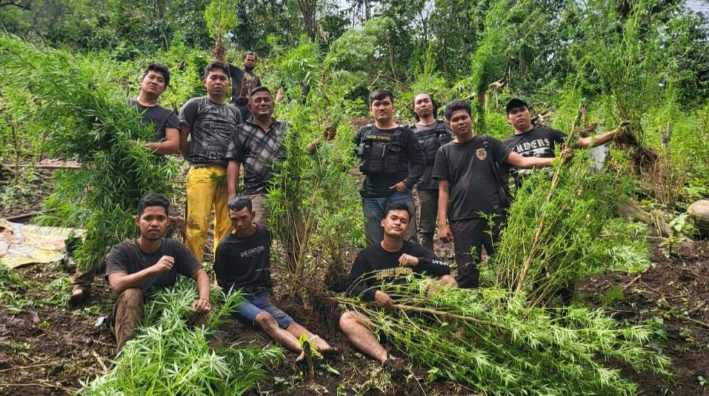 9 jam Berjalan Kaki, Kapolres Empat Lawang Temukan 2 HA Ladang Ganja.