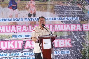 Bukit Asam (PTBA) Gencar Bangun PLTS untuk Pertanian