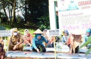 Pj TP PKK Lubuk Linggau Laksanakan Gertam Cabai Serentak Secara Nasional