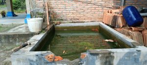 Balita di Sinar Peninjauan OKU tewas Kecebur Di kolam Ikan