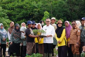 Kendalikan Inflasi, Pemkab Banyuasin Gencarkan Tanam Cabai