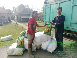 Dinas Pertanian Kabupaten Pali Salurkan Bantuan Benih Padi Inbrida untuk 1000 Hektar