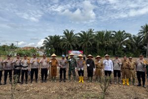 Kapolres OKU Selatan dan Forkopimda Lakukan Penanaman Jagung Serentak