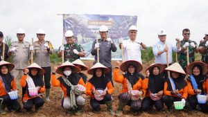 Dukung Swasembada Pangan Prabowo ,Lahan PSR di OKI Ditanami Padi Gogo