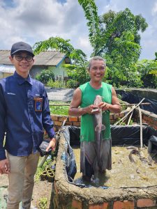 Sempat Jatuh, Usaha Ternak Lele Binaan Bukit Asam (PTBA) Bangkit dan Berkembang