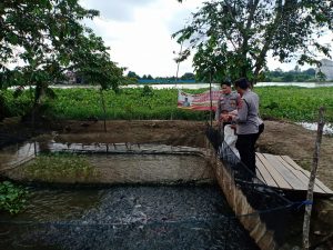 Pantau Perkembangan ternak ikan  program ketahanan pangan nasional ini yang dilakukan oleh personil Polsek Pemulutan