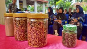 Pelatihan Budidaya Maggot: PTBA Berdayakan Pemuda Desa Tanjung Agung