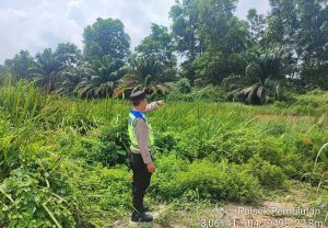 Mitigasi kebakaran lahan ini yang dilakukan personil Polsek Pemulutan !
