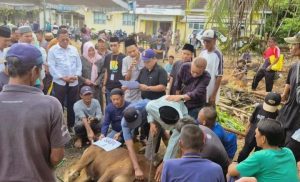 Walikota Prabumulih Hadiri Pemotongan Hewan Qurban di RSUD