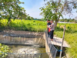 Dukung Ketahanan pangan Nasional Polsek Pemulutan Budidaya ikan Patin