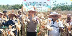 Wali Kota Prabumulih Hadiri Panen Jagung Tahap III, Dukung Swasembada Pangan Nasional