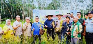 PANEN PADI GOGO, WALI KOTA PRABUMULIH TEGASKAN KOMITMEN KETAHANAN PANGAN DAERAH
