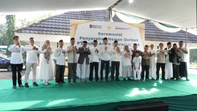 Tebar Kebahagiaan Idul Adha, PTBA Salurkan 300 Hewan Kurban di Berbagai Wilayah Operasional
